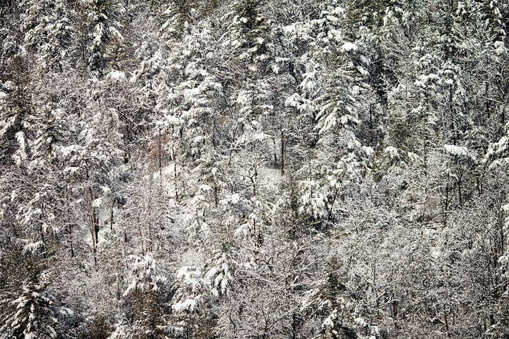 snow in asheville nc