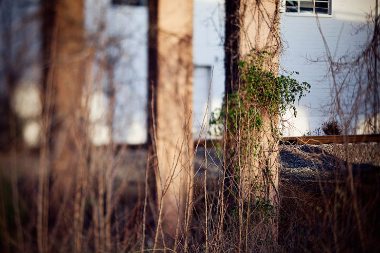 nashville freelensing technique