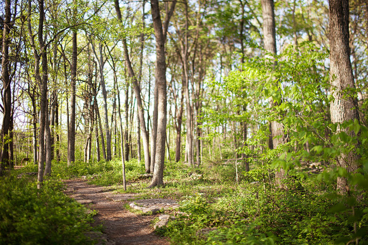 stones river national battlefield