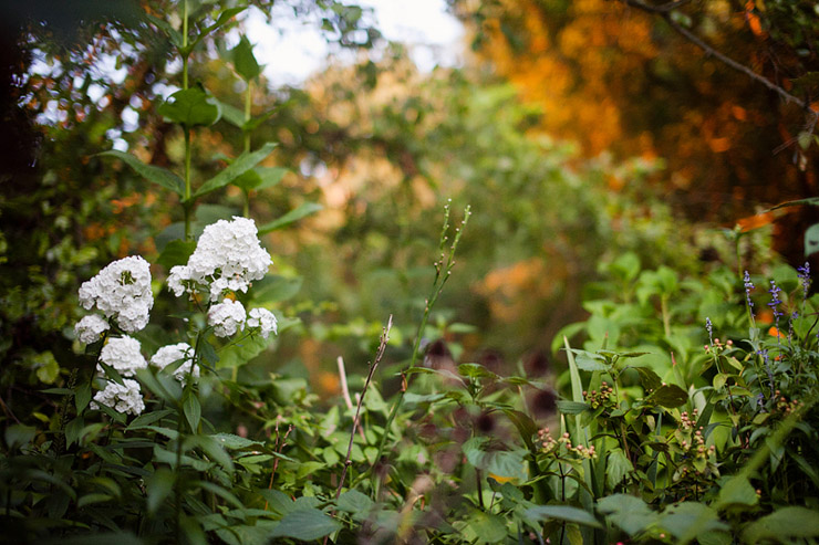 nashville wedding photographers