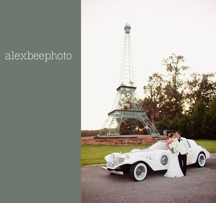 wedding photos in paris tennessee