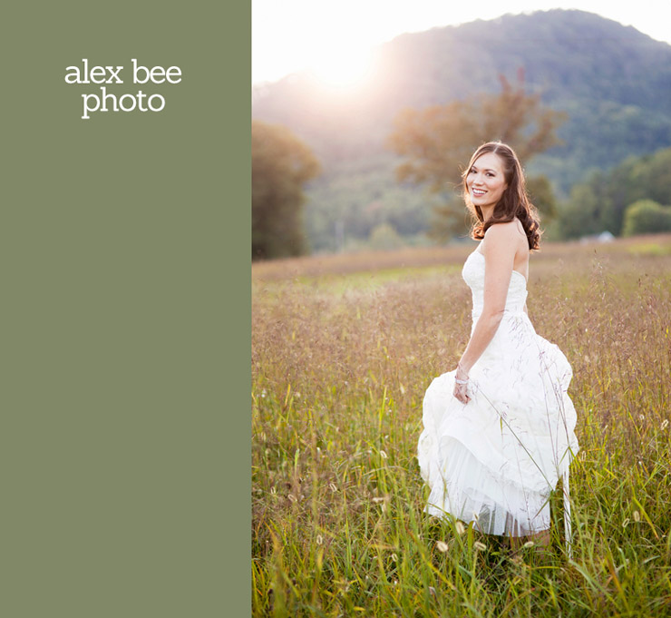 smokey mountain wedding photos