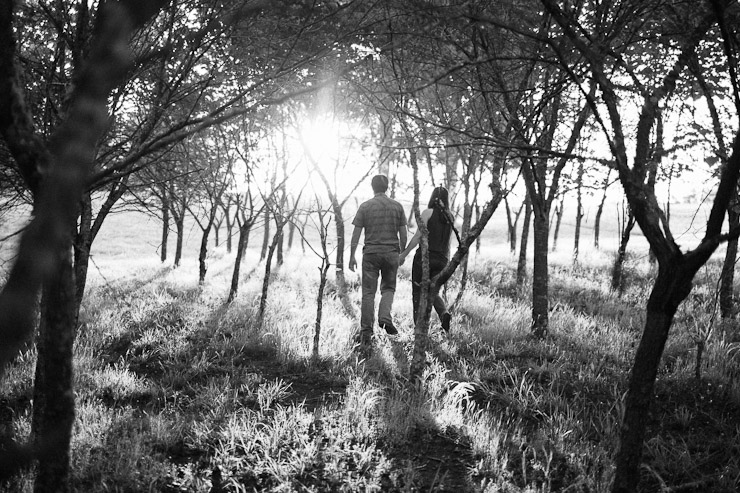 oak ridge engagement photos