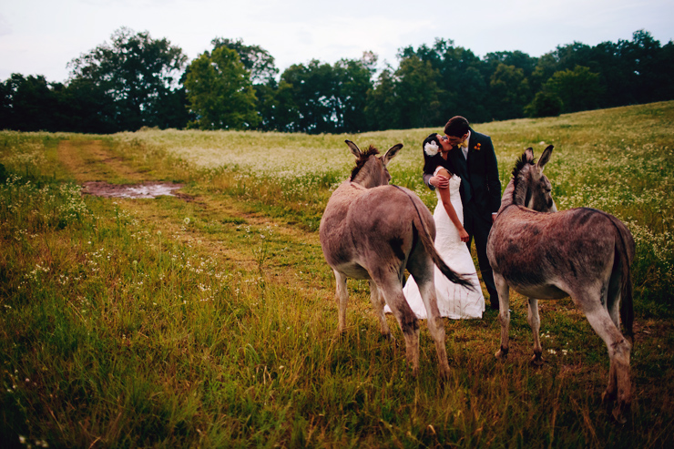 springfield tn wedding