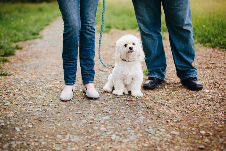 engagement session with a dog